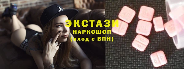 индика Лабытнанги