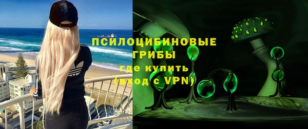 стафф Алзамай