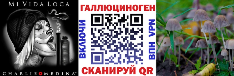 Псилоцибиновые грибы Cubensis  mega ТОР  Королёв 