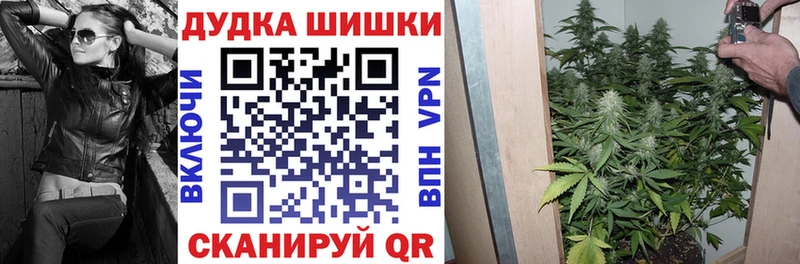 наркотики  Королёв  МАРИХУАНА AK-47 